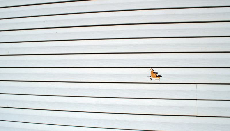 Type of Vinyl Siding