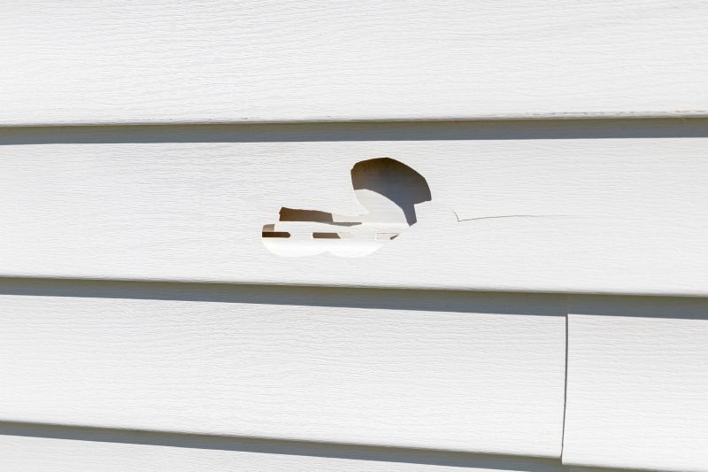 Vinyl Siding Damage Repair